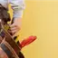 Handyman repair service in Phoenix, AZ for home fixes and improvements