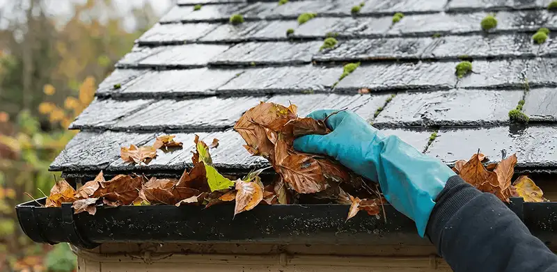 Gutter cleaning technician clearing wet leaves from roof gutters in Phoenix, AZ